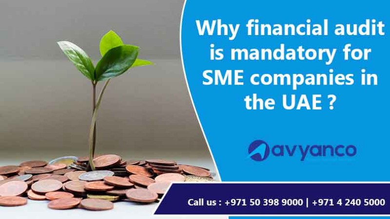 financial auditing for sme companies