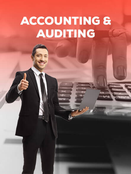 extended services - auditing and accounting
